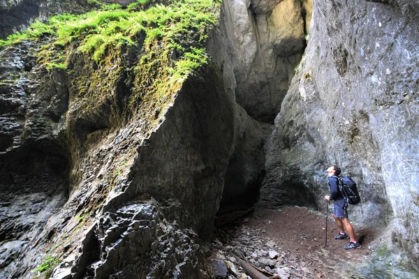 Turistas en los Cárpatos Occidentales, Rumania, Europa —  Fotos de Stock