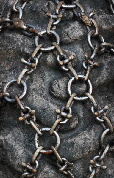 Snow chains on a tractor wheel — Stock Photo, Image