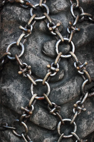 Snow chains on a tractor wheel — Stock Photo, Image