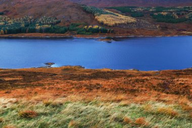 milli park içinde sonbahar renkleri