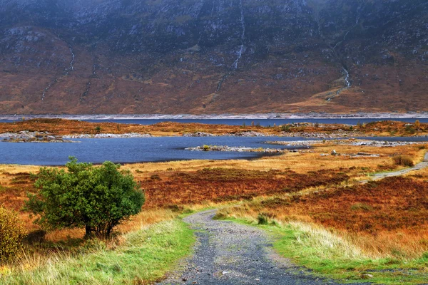 Autumn colors in National Park — Stock Photo, Image