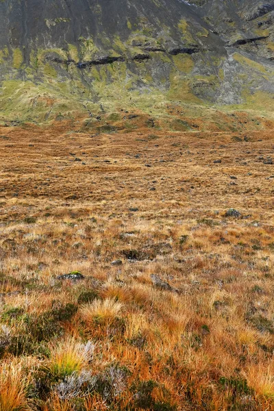 Paisagem de montanhas — Fotografia de Stock