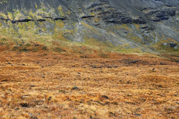 Herbstfarben in den Cuilin-Bergen — Stockfoto