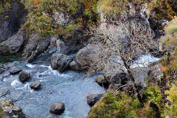 Осенние цвета в горах Куйлинь — стоковое фото