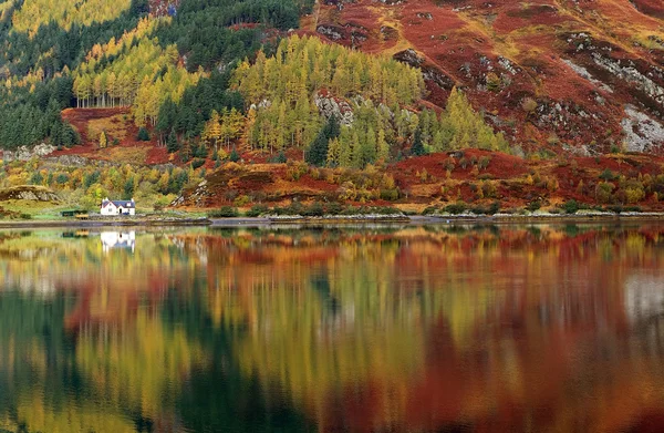 Cores do outono em Highlands — Fotografia de Stock