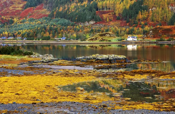 Autumn colours in Highlands — Stock Photo, Image