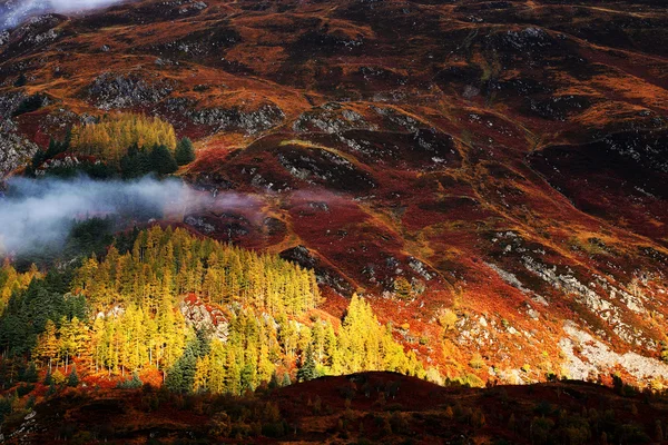 Herbstfarben im Hochland — Stockfoto