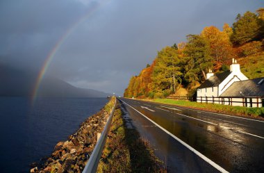 Autumn colours in Highlands clipart