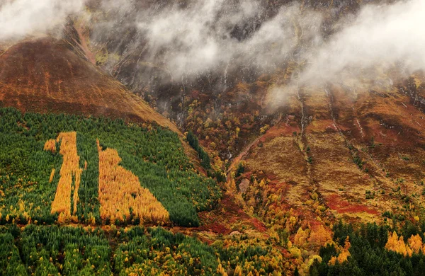 Herfst kleuren in hooglanden — Stok fotoğraf