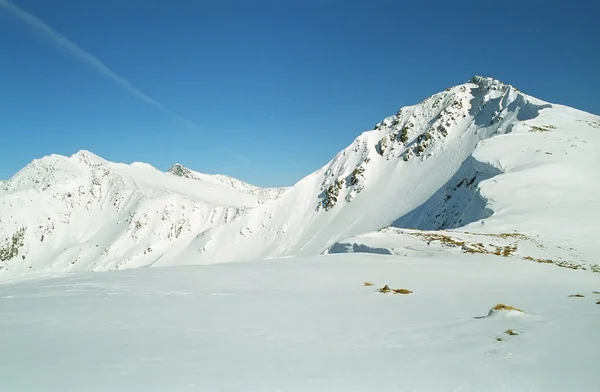 Paisagem inverno — Fotografia de Stock