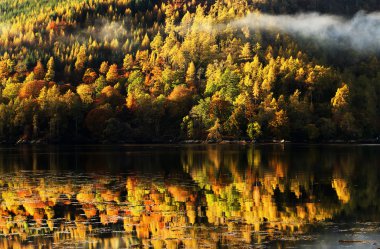 herfst kleuren in hooglanden