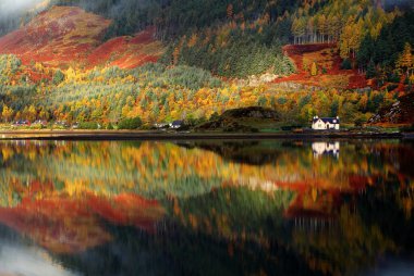 herfst kleuren in hooglanden