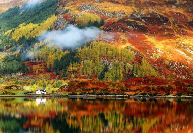 herfst kleuren in hooglanden