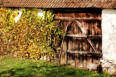 Romen rustik ahşap kapı