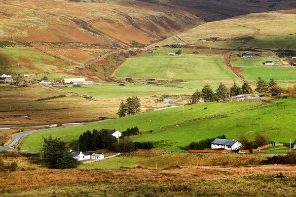 Cores do outono em Highlands — Fotografia de Stock