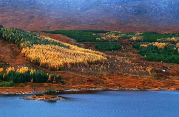 Cores do outono em Highlands — Fotografia de Stock