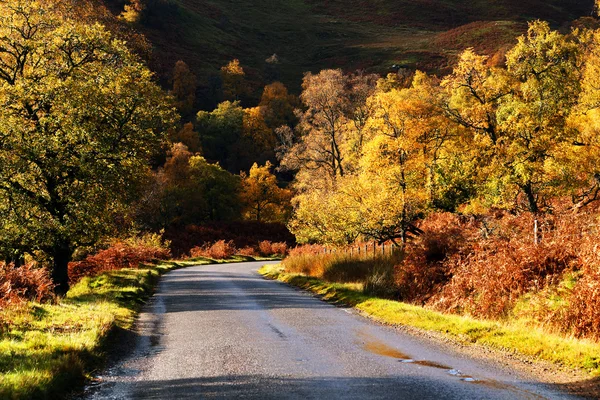 Road in Highlands — Stock Photo, Image