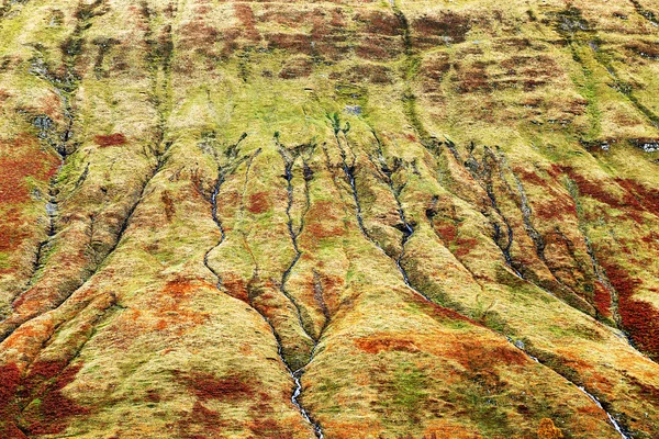 Relief batu — Stok Foto