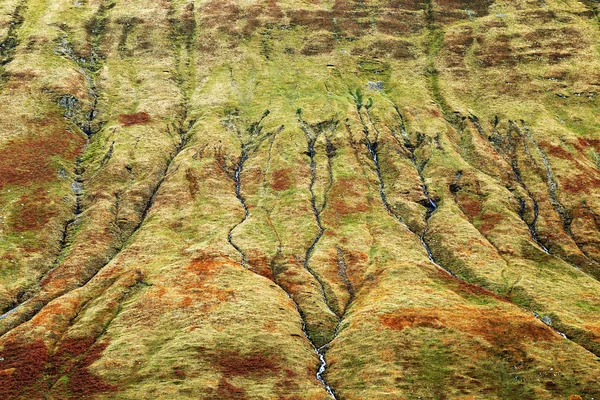 Relief of the rocks — Stock Photo, Image