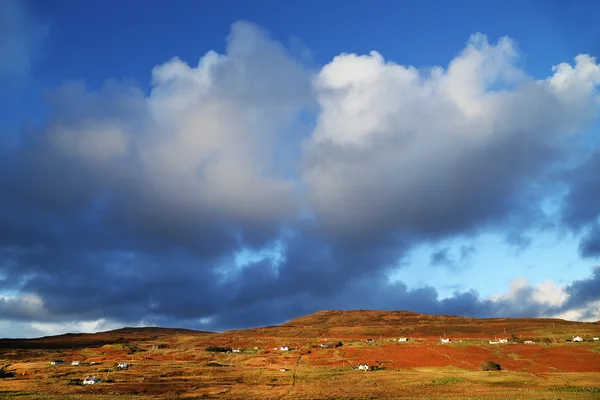 Houses in field — Stock Photo, Image