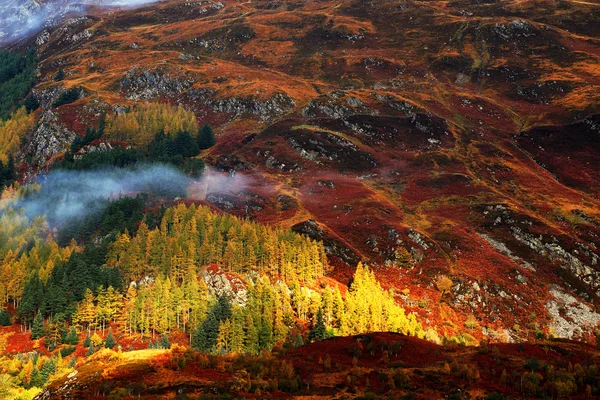 El paisaje de otoño de montaña — Foto de Stock