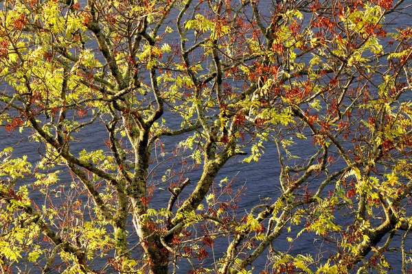 Lochness em Highlands — Fotografia de Stock