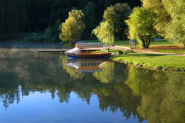 Ausbluteter See Slowenien Europa — Stockfoto