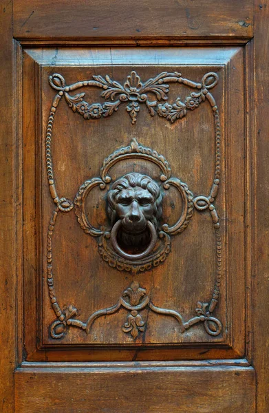 Fragment Old Wooden Door Bronze Door Handle Shape Lion Head — Stock Photo, Image