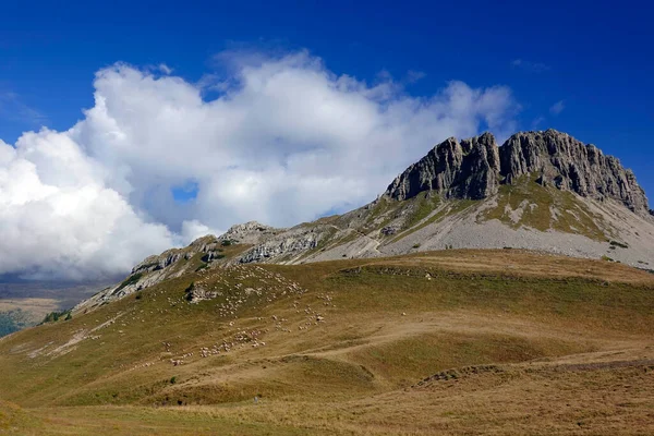 Hora Castellaz Pěší Túry Kristu Vrchol Dolomitů Italských Alpách Místo — Stock fotografie