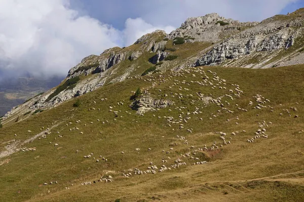 Mount Castellaz Trekking Thinking Christ Peak Dolomites Italian Alps Unesco — Stock Photo, Image