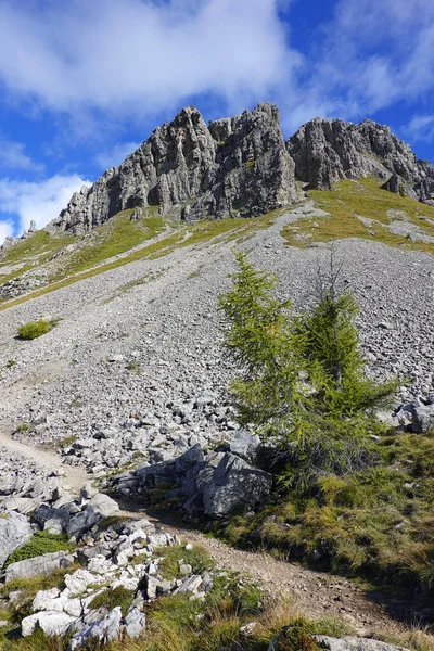 Castellaz Dağı Düşünen Nın Trekking Talyan Alpleri Nde Dolomitler Zirvesi — Stok fotoğraf