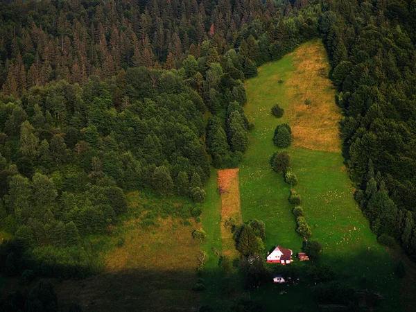 Альпійський Ландшафт Гір Бучегі Румунія Європа — стокове фото