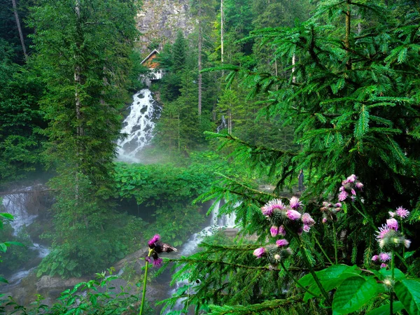 Bellissimo Paesaggio Nebbioso Della Cascata Seven Springs Bucegi Mountains Romania — Foto Stock