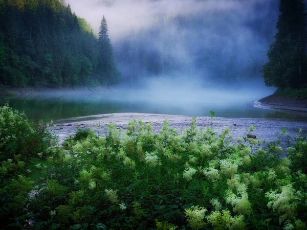 Lago Scropoasa Las Montañas Bucegi Rumania Europa —  Fotos de Stock