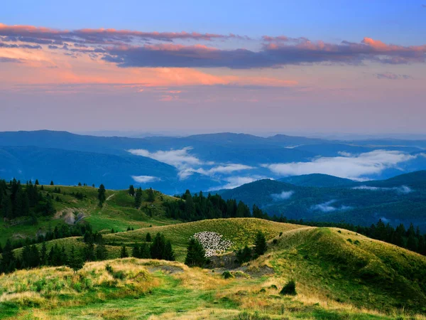 Альпійський Ландшафт Гір Бучегі Румунія Європа — стокове фото
