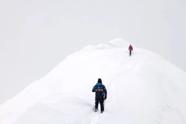 Grupp Alpinister Som Vandrar Hårda Vinterförhållanden Transsylvanska Alperna Rumänien Europa — Stockfoto