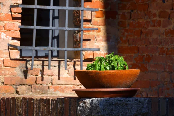 Architectonische Details Van Oude Huizen Toscane Italië Europa — Stockfoto