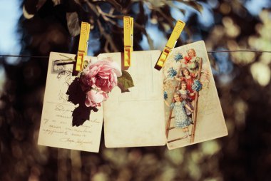 Vintage kartpostal bir gül