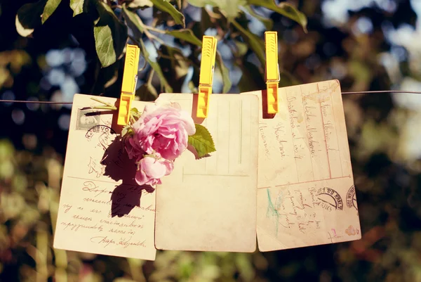 Cartão postal vintage com uma rosa — Fotografia de Stock