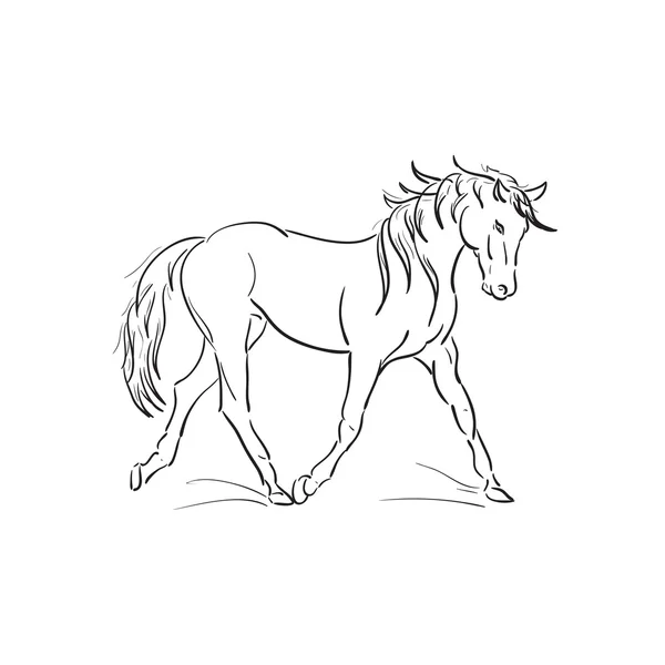 Running horse vector outline — Stock Vector