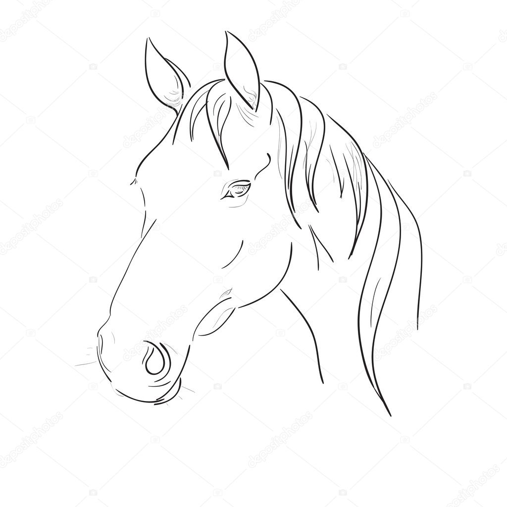 Horse Head Vector