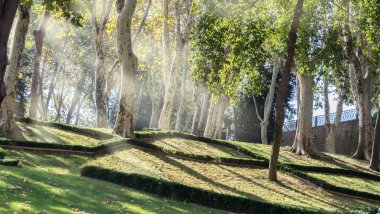 Park Gulhane, İstanbul 'un eski merkezinde uzun ağaçları olan güzel antik park.