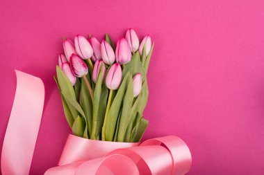 Pembe laleler. Pembe arka planlı güzel ve nazik bir pankart dizaynı. Bahar tatillerinin arka planı.