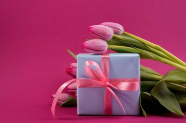 Pembe arka planda büyük pembe fiyonklu ve bahar laleli romantik hediye kutusu. Anneler Günü ya da Paskalya tatili konsepti.