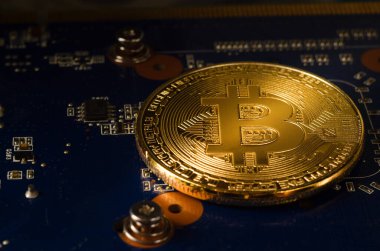 Bilgisayar ekran kartı üzerinde fiziksel altın Bitcoin para. Yeni bağımsız dünya çapında cryptocurrency. Bilgisayar ile Bitcoin incelemesi.