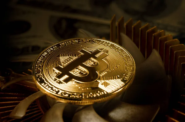 Moneda de Bitcoin de oro físico en una tarjeta de video de computadora. Nueva criptomoneda mundial independiente. Bitcoin minería con ordenador . — Foto de Stock