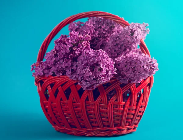 Boeket van mooie paarse lila bloemen in een mand tegen fel rode achtergrond. Voorjaar feestelijke achtergrond. — Stockfoto