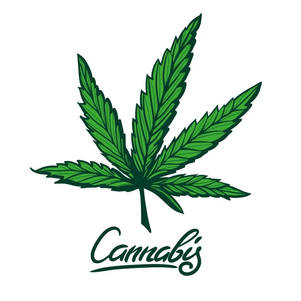 Cannabis Leaf Vector Sketch Ilustração — Vetor de Stock