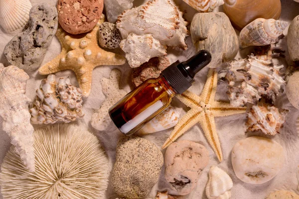 Kosmetický olej Láhev a různé Seashells na Sandy pozadí. Dobrý pro letní prodej nebo dovolenou — Stock fotografie