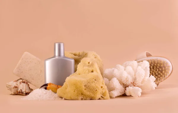 Spa y cuidado de belleza conjunto de jabón de esponja de mar botella cosmética y varias conchas. — Foto de Stock